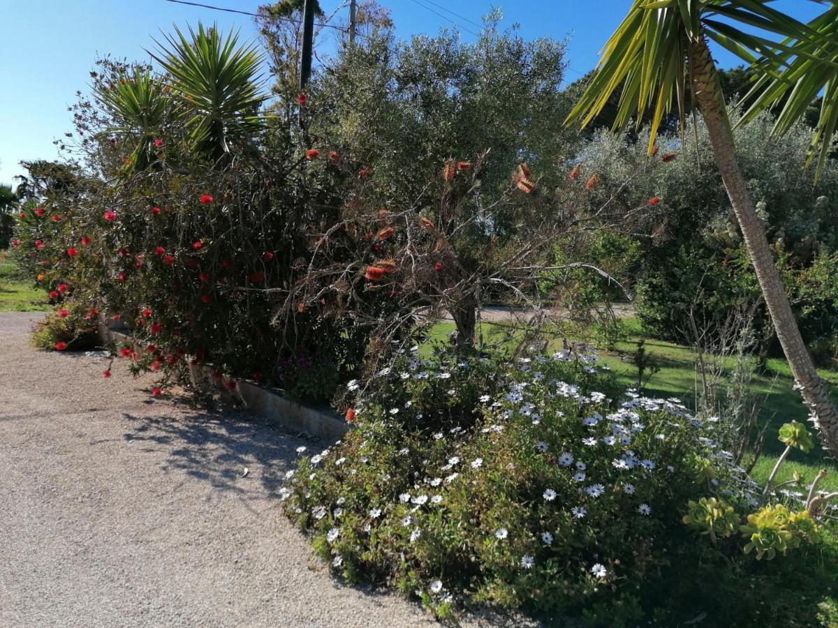 Il Patio Alghero Santa Maria la Palma Exterior foto